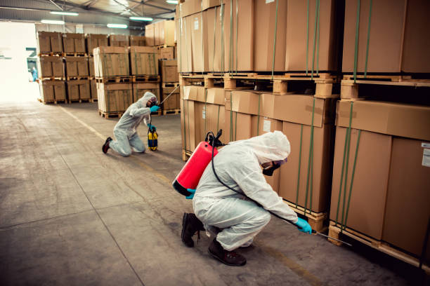 Best Bed Bug Extermination  in Delmar, MD
