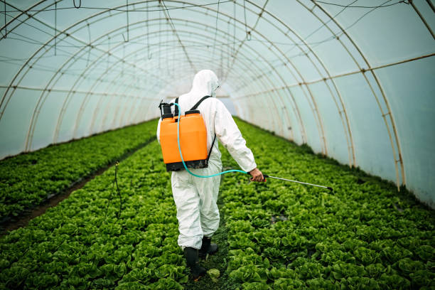 Best Emergency Pest Control  in Delmar, MD