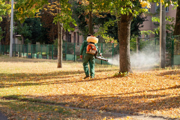 Trusted Delmar, MD Pest Control Experts