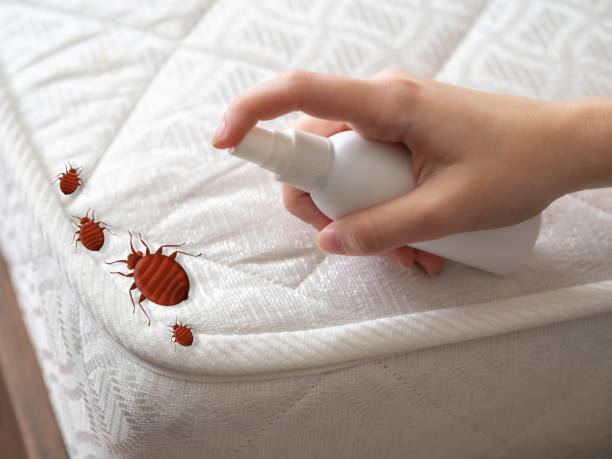 Best Ant Control Services  in Delmar, MD