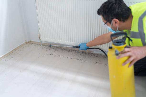 Pest Control Cost in Delmar, MD