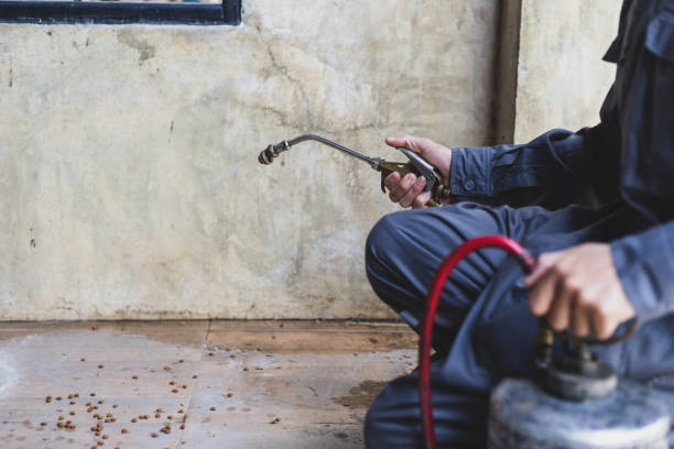 Best Best Pest Control Companies  in Delmar, MD